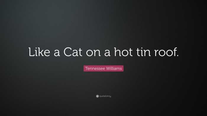 Roof cat tin hot book williams movie tennessee vs penguin favourites loving month books october been literature victory staying knew