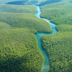 Costa rica palmar rio grande norte longest river kilometers