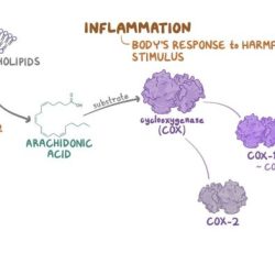 Pharm made easy 4.0 infection