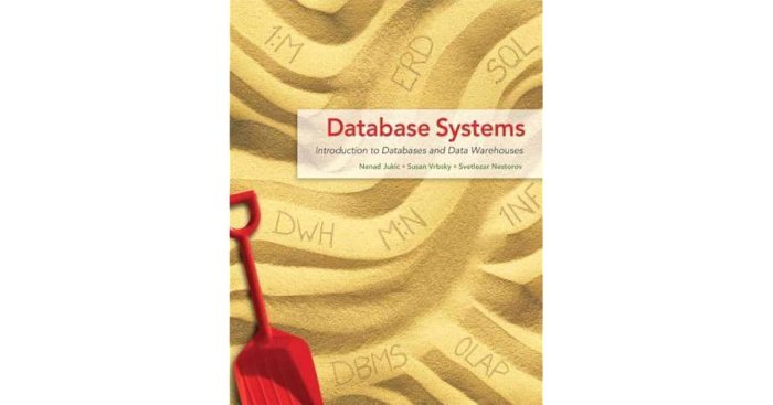 Database systems introduction to databases and data warehouses