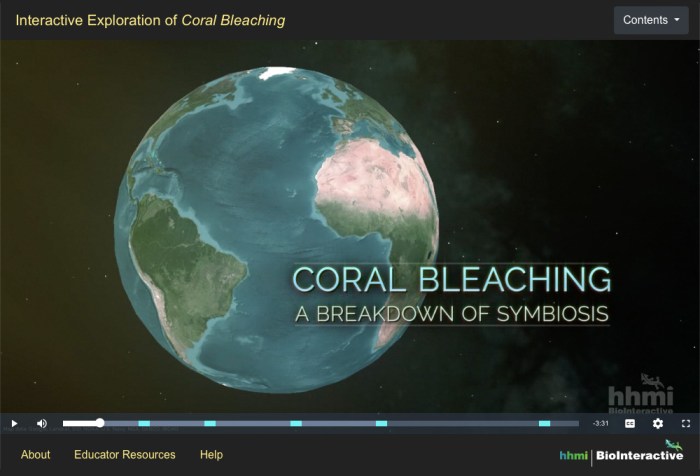 Interactive exploration of coral bleaching answer key