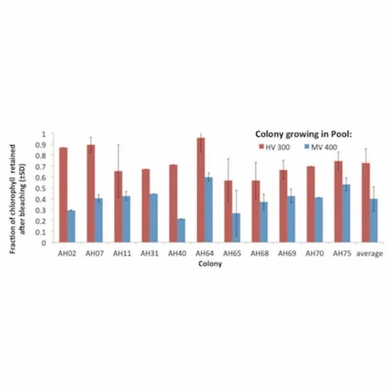 Interactive exploration of coral bleaching answer key